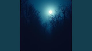 Moonlight Whispers Through