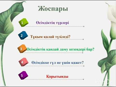 Бейне: Гекльберри қай жерде өседі: Гаклберри өсімдіктерін қалай өсіру керек