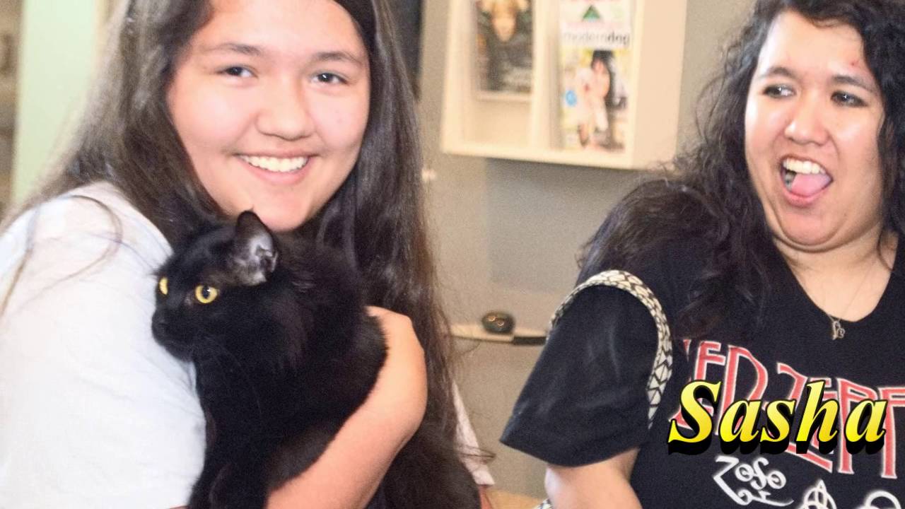 Jackson Galaxy Cat Pawsitive Recap SPCA of Texas YouTube