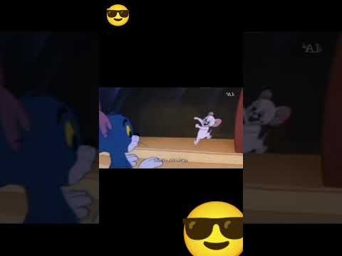 سالت الشيخ الحلال