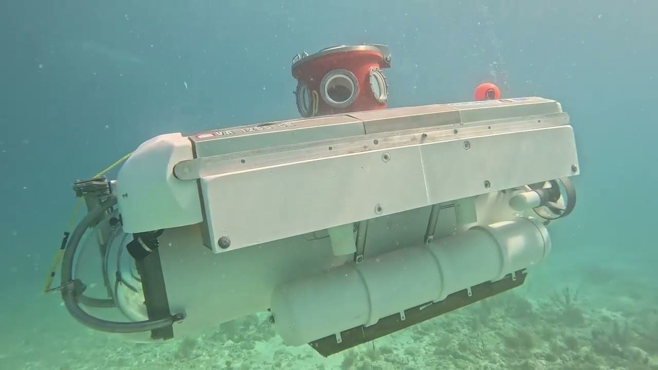 Shackleton Dives Islamorada 2026