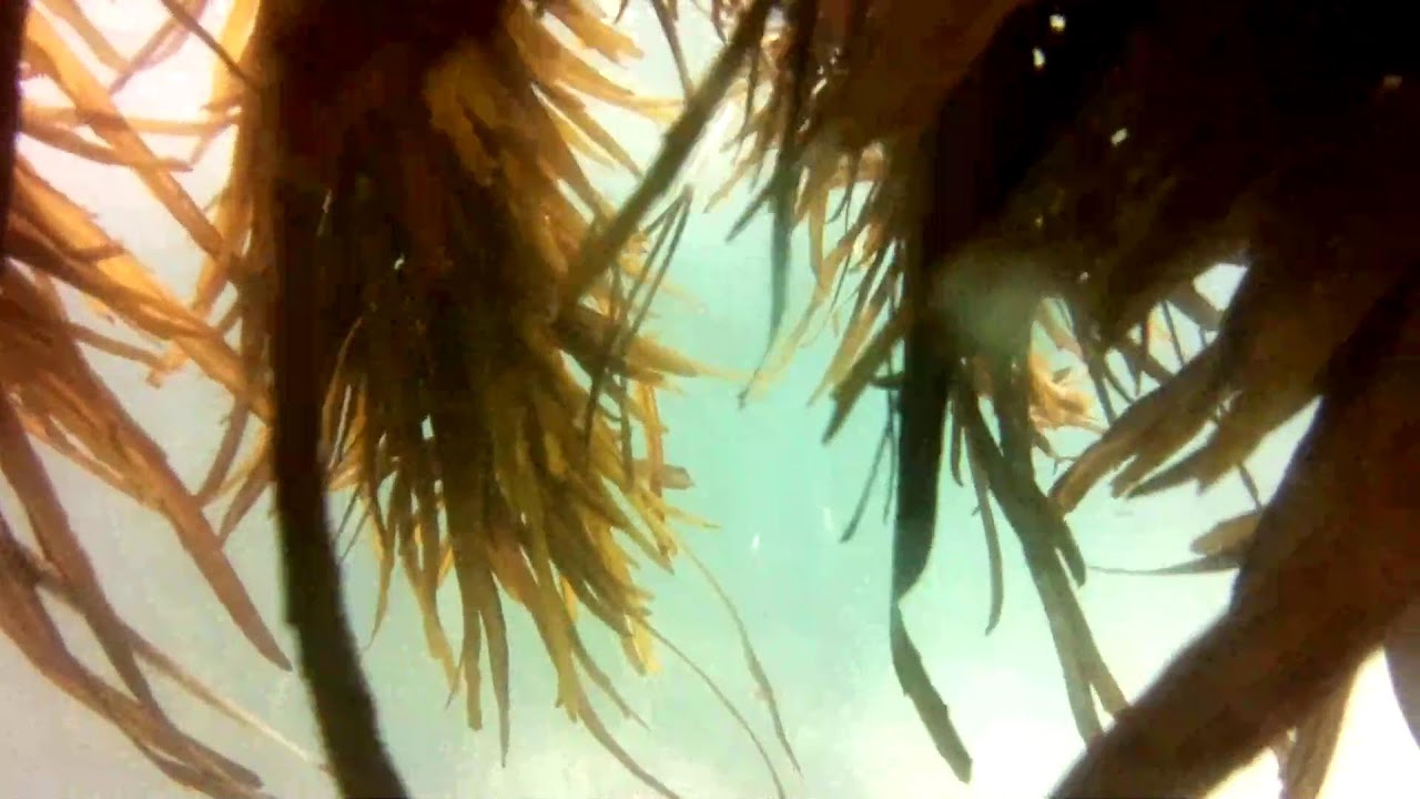 Wagonga Inlet 06/02/2026