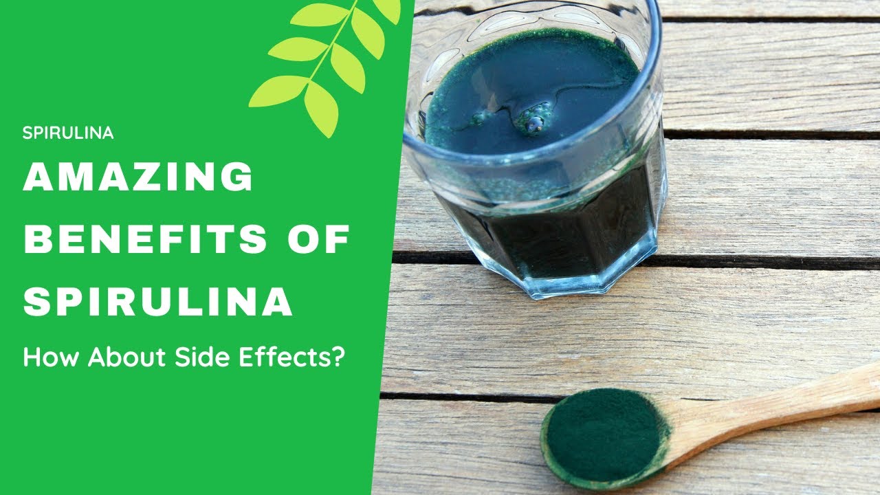 Spirulina The Blue Green Algae Best for Vegetarian Diets YouTube