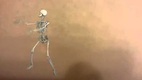 FxGuru - Dancing Skeleton