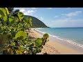 Plage de Grande Anse, Deshaies, Guadeloupe (Drone)