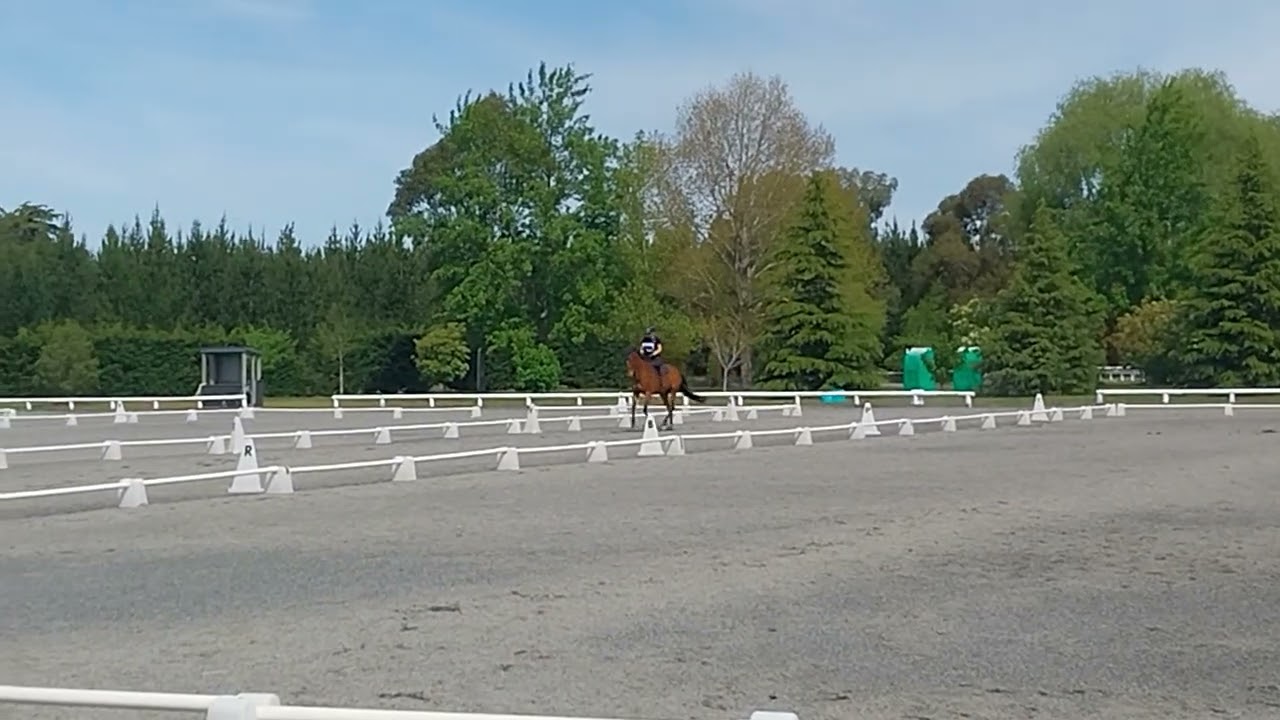 Pablo Dressage Warm Up