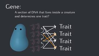 What's a "selfish gene"?