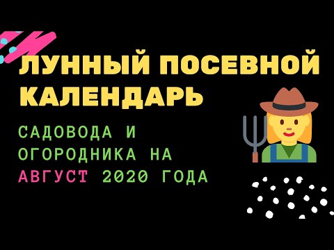 Лунный посевной календарь садовода и огородника на август 2020 года