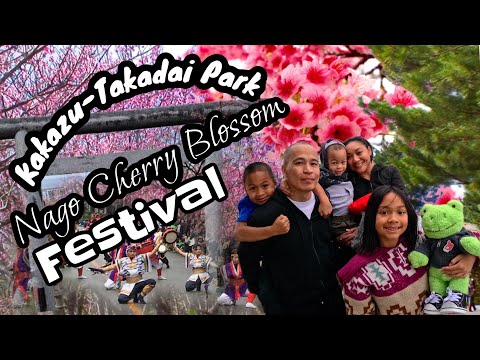 Chasing Cherry Blossoms In Okinawa, Japan: Kakazu-Takadai Park to Nago Cherry Blossom Festival