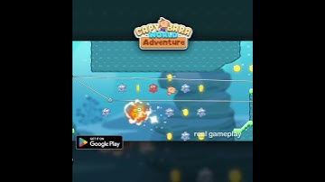 Dash Through Levels, Defeat Monsters, and Collect Cards! #capybara