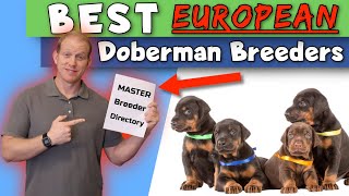 Finding European Doberman Breeders: The BEST Directories and Resources