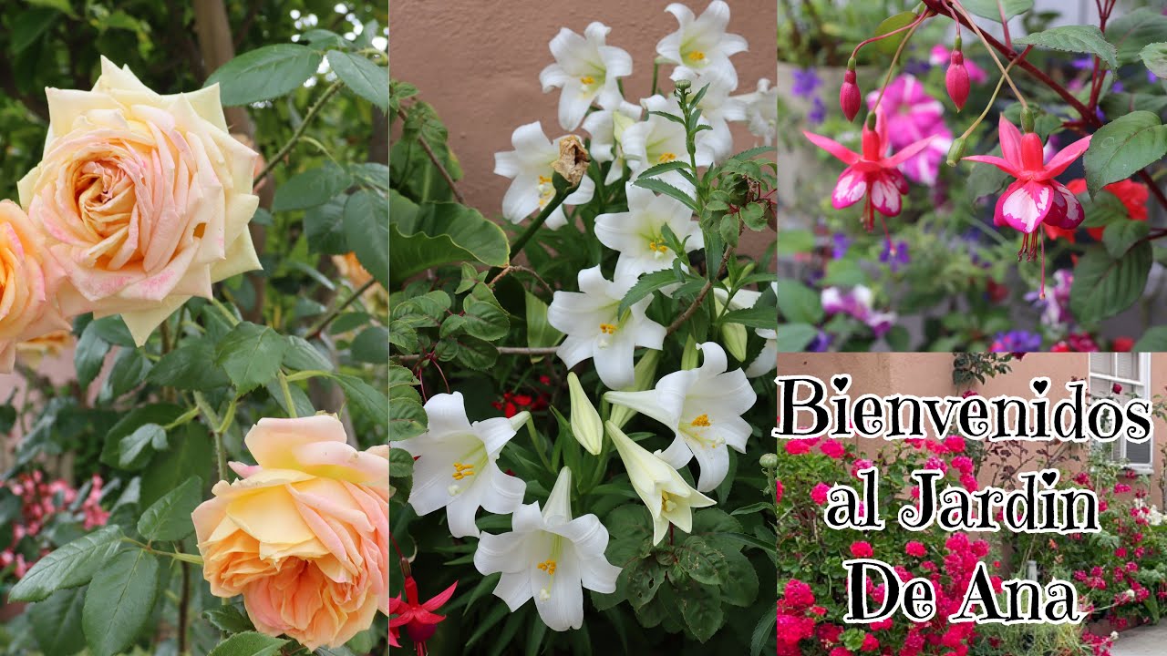 tour por el jardin de ANA en el mes de julio 2023