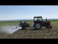 Tractor U650 - erbicidat porumb 2023