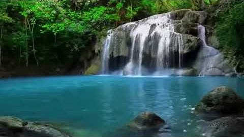 سورة النساء بصوت جميل و هادئ