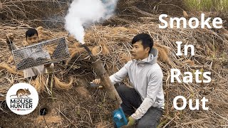 Smoke In – Rats Out! | Live Rat Catching With Smoke Trap