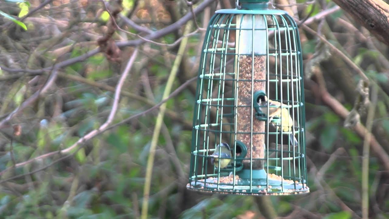 Gosforth Park Nature Reserve