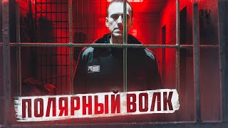 🇷🇺 ПОЛЯРНЫЙ ВОЛК // Зона, где умер Навальный