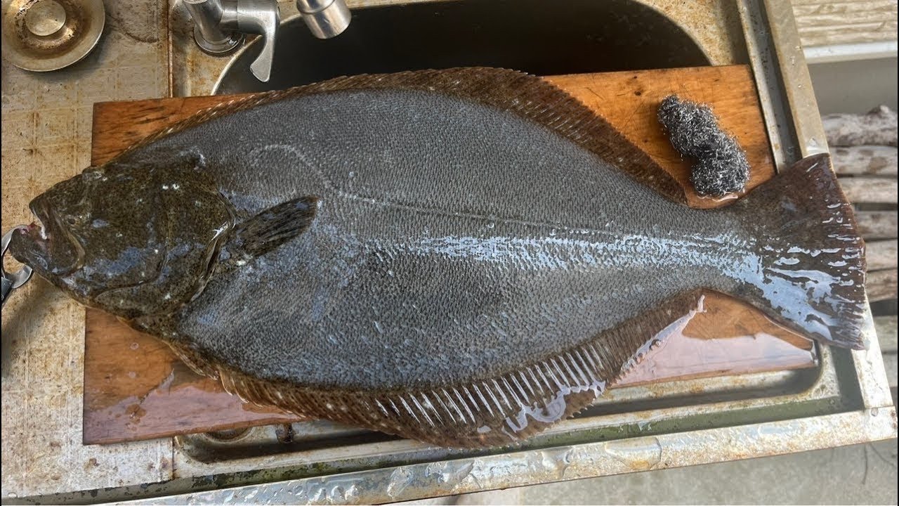flounderさま個別出品 flounder57様専用 【公式通販】