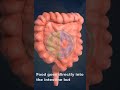 Can You Survive Without A Stomach? || #scipeak || #sabasohail || #learnscience