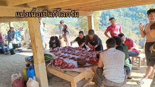 Download Lagu งานกินดองของชนเผ่ากะตู-บ่าวยืง MP3