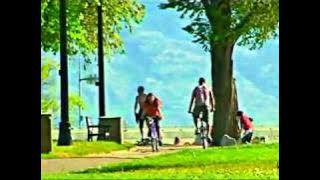 Summer Breeze - Seals & Crofts