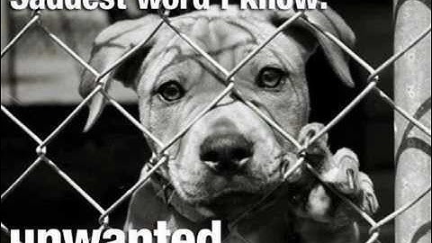 Alone and Unloved