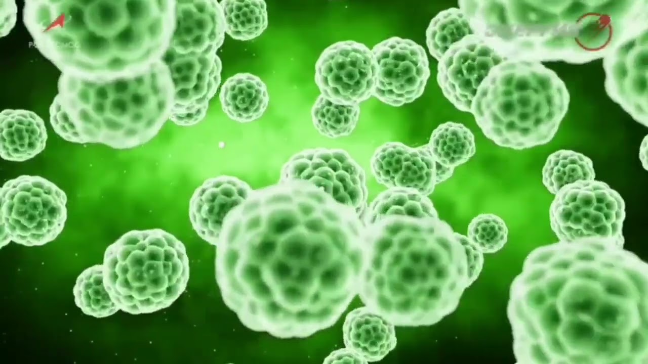 «Союз МС-25» доставляет на МКС материалы для печати трубчатых органов человека