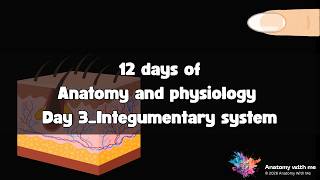 Day 3: Unit 3 Integumentary System | 12 Days of Anatomy & Physiology