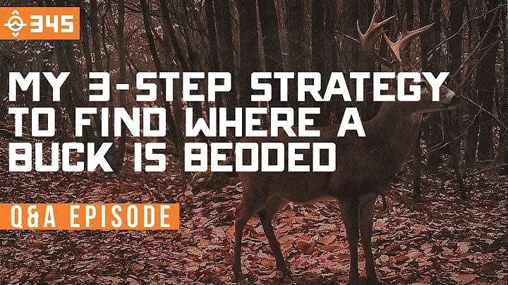 My 3-Step Strategy to Find Where A Buck Is Bedded -Mountain Buck Q&A | East Meets West Hunt - Ep 345