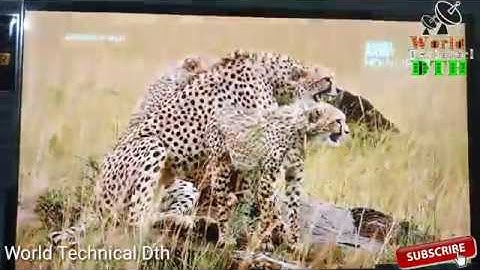 FREESAT V7 HD AUTOROLL POWERVU  UNBOXING