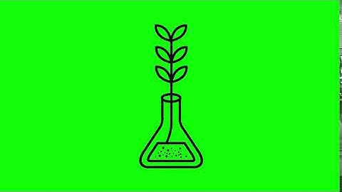 Animated Experiment Growth Icon on Green Screen With Pop-up Sound