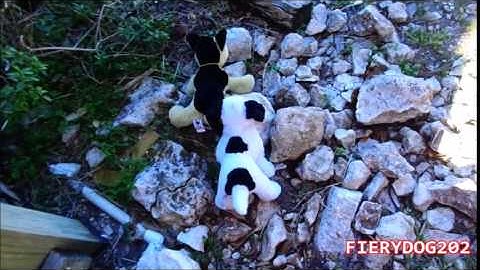 If I Lose Myself MEP Part 6 for Popcorn Cat Kinz