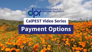 Payment Options