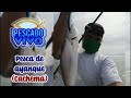 SPINNING en la Costa Verde. PESCA de CACHEMAS. Pesca con SEÑUELO.  #Pescadeportiva #Pesca