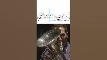 the saddest euphonium melody that will bring you to tears | Bastien Baumet plays The Overton Window