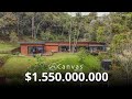 🏡FINCA CON UN BOSQUE ENCANTADO😱 - LA CEJA / ANTIOQUIA $1.550.000.000 ( Canvas Raíz )