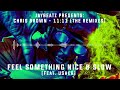 02 Chris Brown - Feel Something Nice & Slow (feat. Usher)