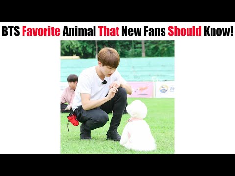 BTS Members Favorite Animal That New Fans Should Know! (Part 1)