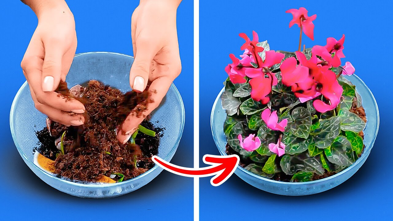 Creative Gardening Hacks Tackle Plant Care with Ease!
