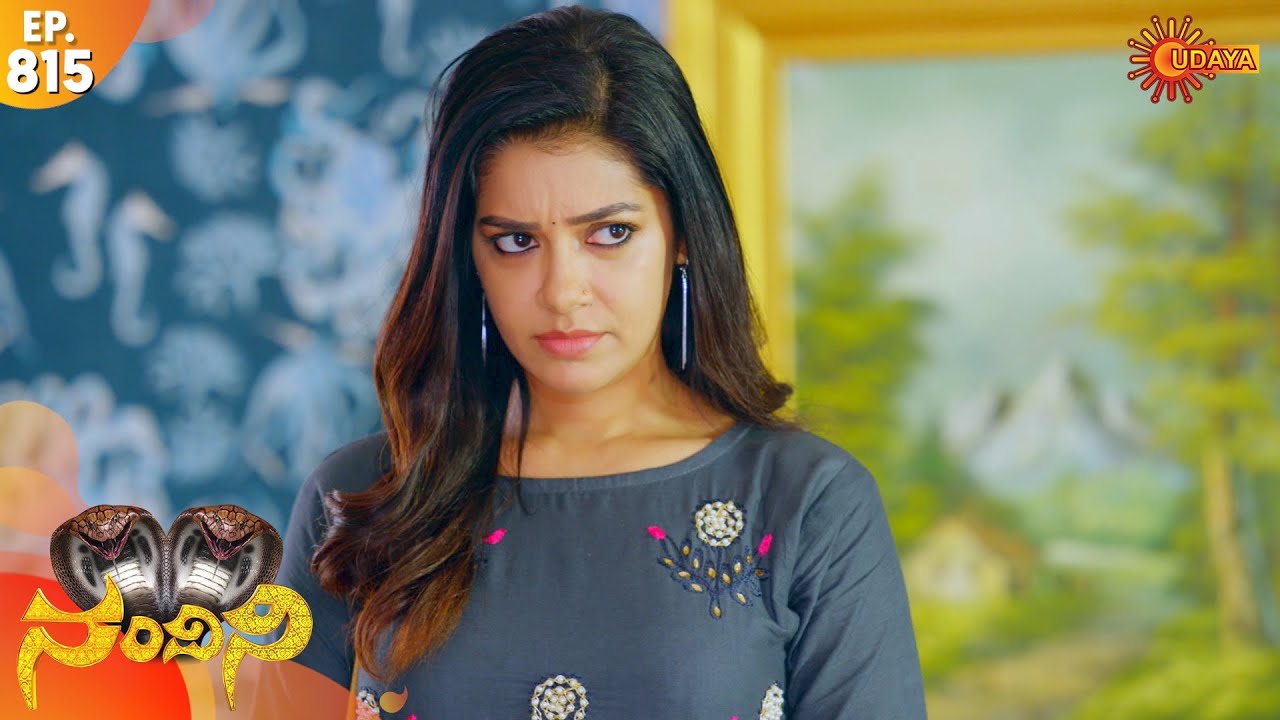 Nandini - Episode 815 | 9th Dec 19 | Udaya TV Serial | Kannada Serial