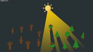 [Unity Asset] 2D Lights & Shadows Quick View