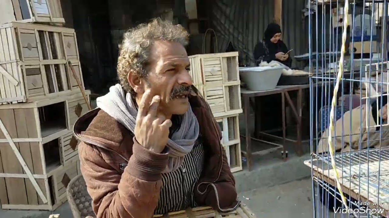 سوق الجمعه اسعار الصقور والعصافير والتمساح٢٩ يناير ٢٠٢٤