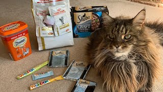 What Do Maine Coon Cats Eat?