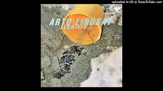 ARTO LINDSAY 『ECOMIXES ONE』　アート・リンゼイ ARTO LINDSAY / Ecomixes One (Rhythm Republic, RR12-88126, 12inch