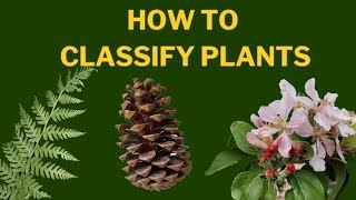 Learn Plant Classification |  The Plant Kingdom