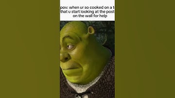 POV when you’re so cooked on a test that you start looking at the posters on the wall, ￼￼￼