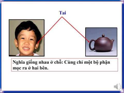 Từ nhiều nghĩa