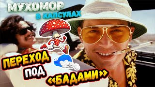 видео: #61 🚀📅ПЕРЕХОД НА ПАСХУ. НАТКНУЛИСЬ НА ПАЛАТКУ ПОГРАНЦОВ. Закинули 150 таблеток🍄Видели огромную птицу картинка: #61 🚀📅ПЕРЕХОД НА ПАСХУ. НАТКНУЛИСЬ НА ПАЛАТКУ ПОГРАНЦОВ. Закинули 150 таблеток🍄Видели огромную птицу