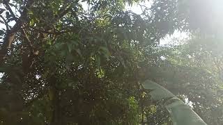 climate change and food and nutrition insecurity