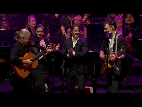 The Cat Empire - Bird In Paradise (Live at Sydney Opera House) (Official Live Video)